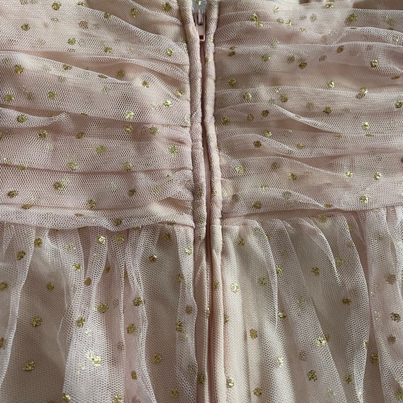 BNWT Mesh pink ruffle with dot of golden drss - Picture 9 of 10